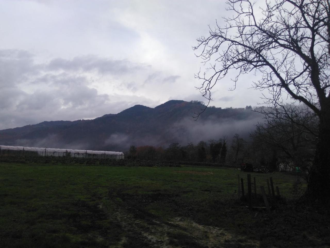 Corte San Ruffillo Country Resort Dovadola Bagian luar foto